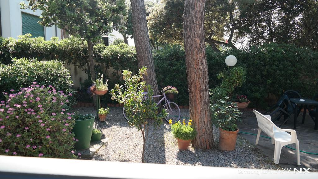 La Zattera Camere Σαν Βιντσέντσο Εξωτερικό φωτογραφία