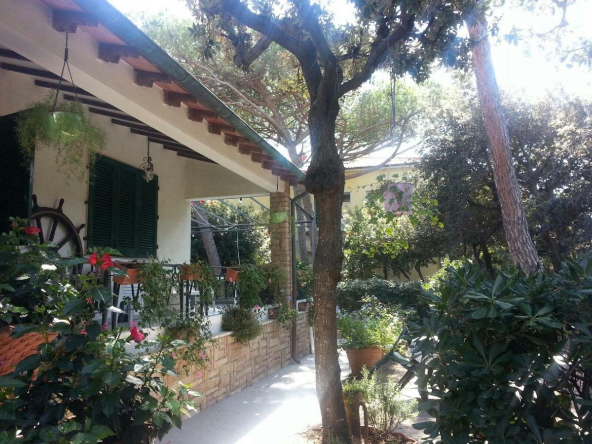 La Zattera Camere Σαν Βιντσέντσο Εξωτερικό φωτογραφία
